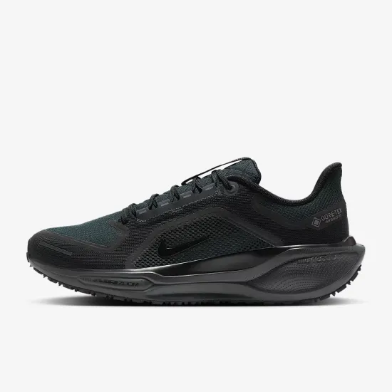 Кросівки Nike Air Zoom Pegasus 41 Gore‑Tex FQ1356-001