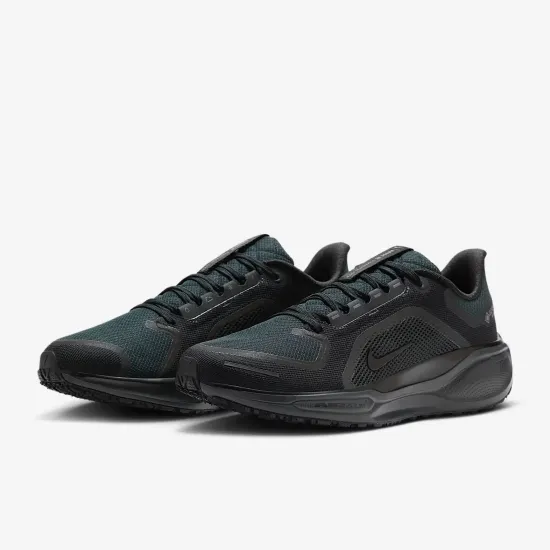Кросівки Nike Air Zoom Pegasus 41 Gore‑Tex FQ1356-001