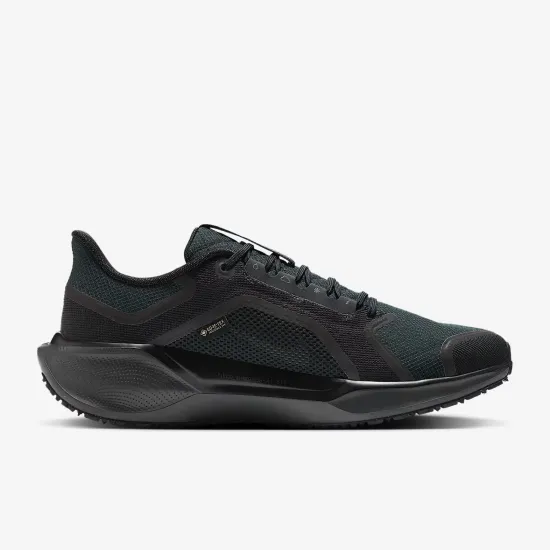 Кросівки Nike Air Zoom Pegasus 41 Gore‑Tex FQ1356-001