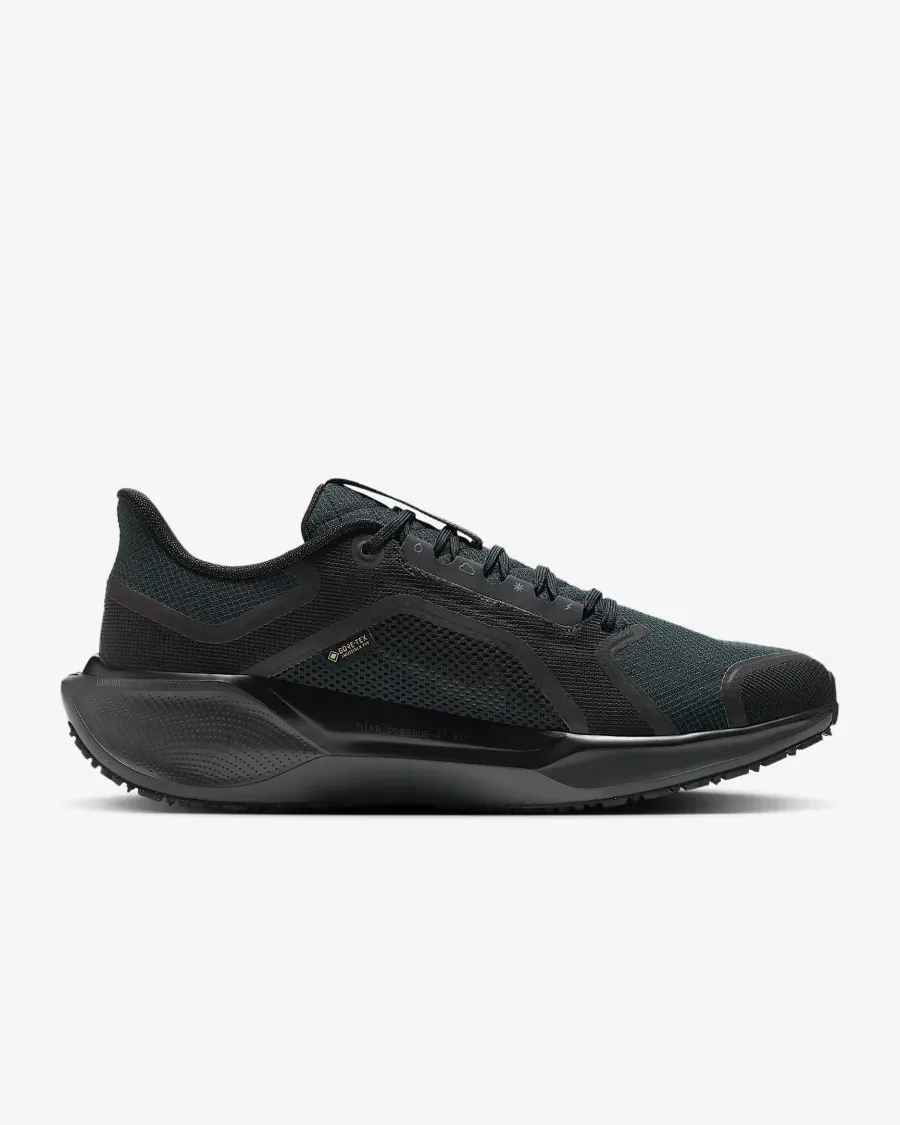 Кросівки Nike Air Zoom Pegasus 41 Gore‑Tex FQ1356-001