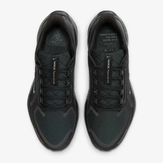 Кросівки Nike Air Zoom Pegasus 41 Gore‑Tex FQ1356-001