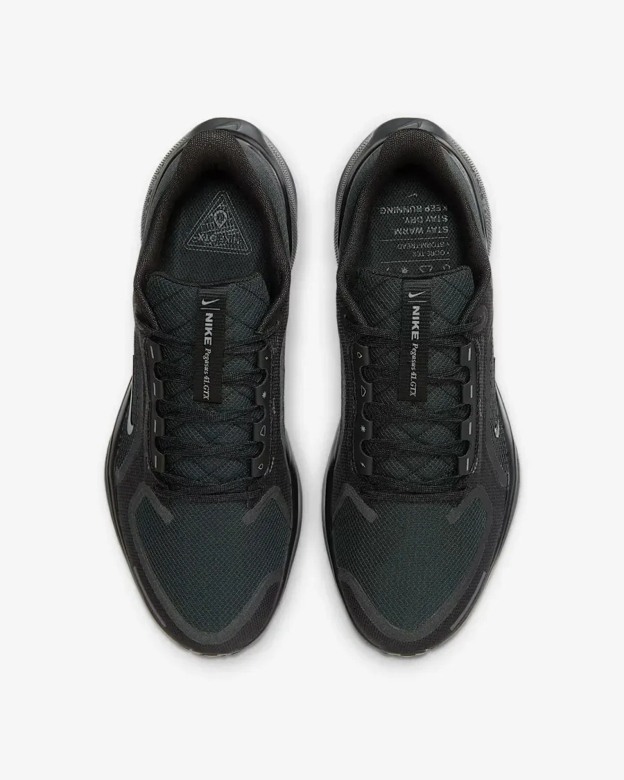 Кросівки Nike Air Zoom Pegasus 41 Gore‑Tex FQ1356-001