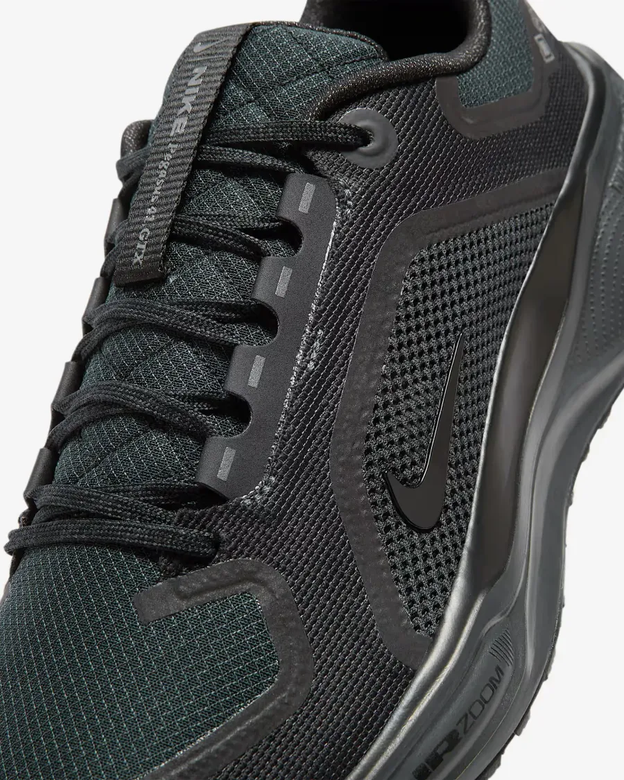 Кросівки Nike Air Zoom Pegasus 41 Gore‑Tex FQ1356-001