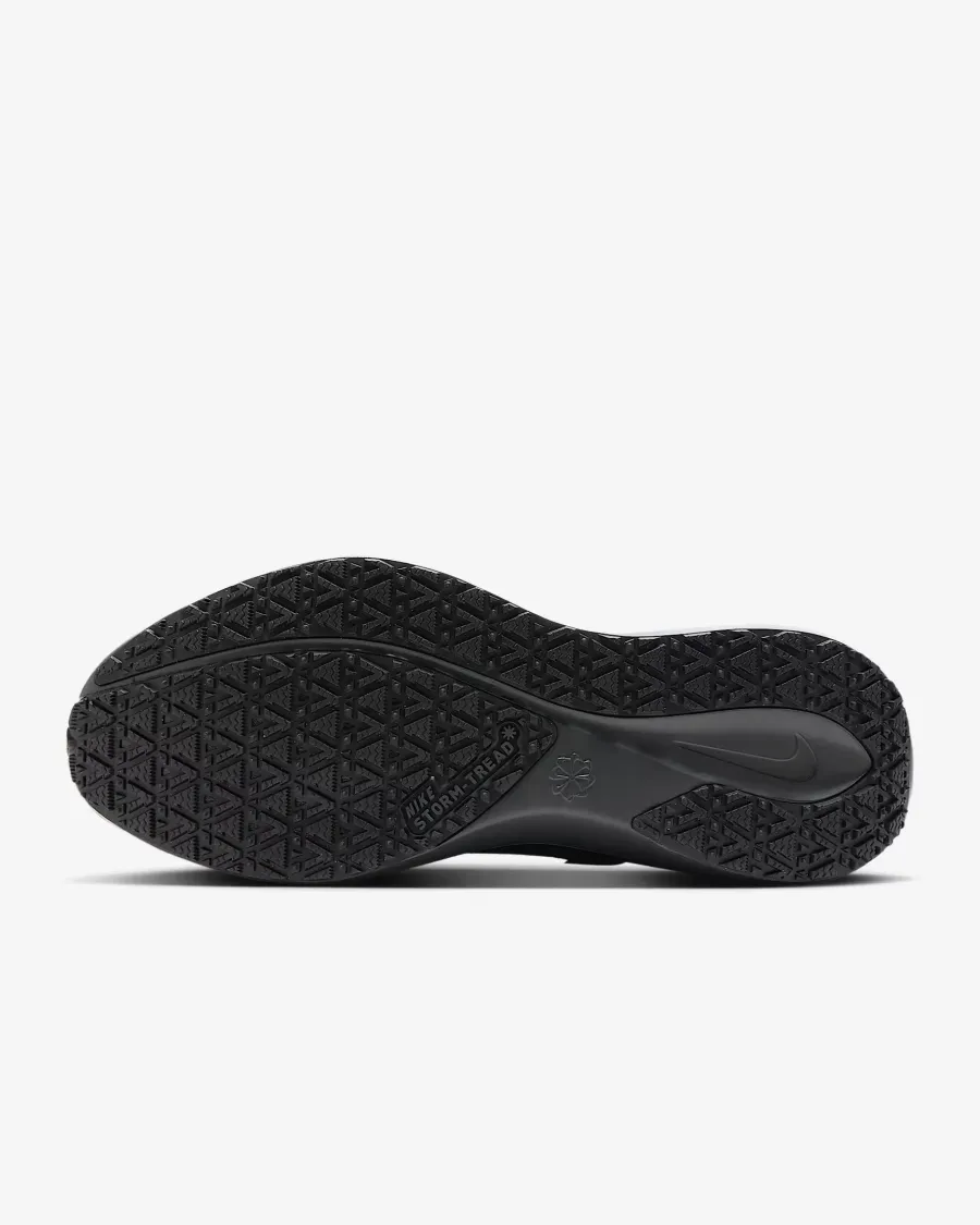 Кросівки Nike Air Zoom Pegasus 41 Gore‑Tex FQ1356-001