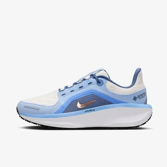Кросівки Nike Winflo 11 Gore-Tex FQ1359-002