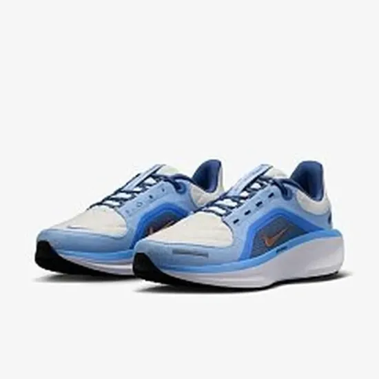 Кросівки Nike Winflo 11 Gore-Tex FQ1359-002