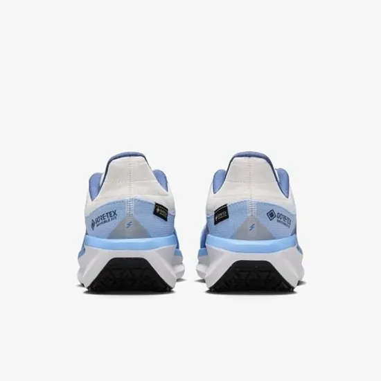 Кросівки Nike Winflo 11 Gore-Tex FQ1359-002