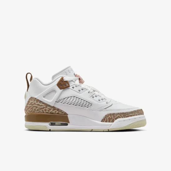 Кросівки Nike Air Jordan Spizike Low FQ1759-101