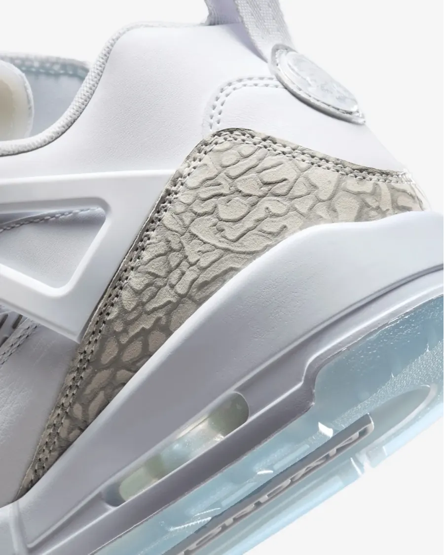 Кросівки Nike Air Jordan Spizike Low FQ1759-103