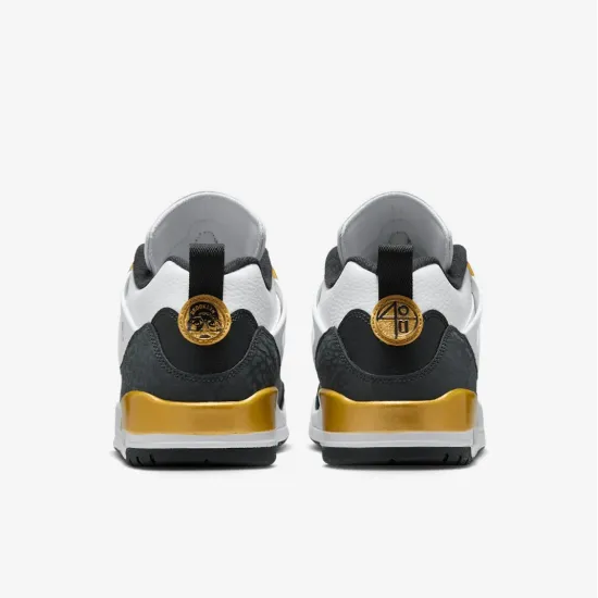 Кросівки Nike Air Jordan Spizike Low FQ1759-108