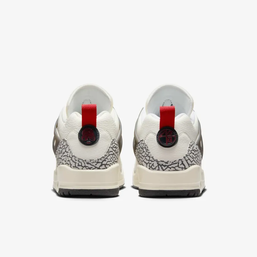 Кросівки Nike Air Jordan Spizike Low FQ1759-116