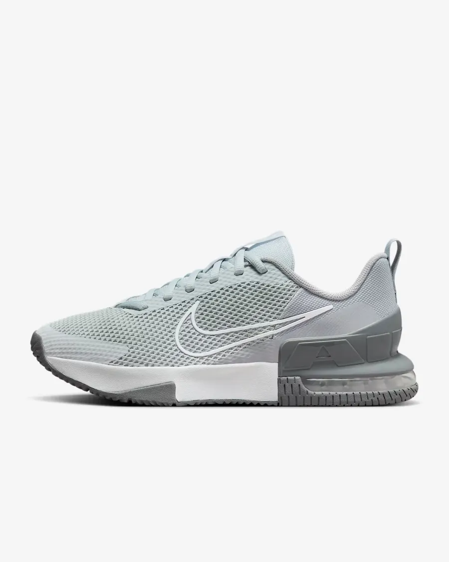 Кросівки Nike Air Max Alpha Trainer 6 FQ1833-002