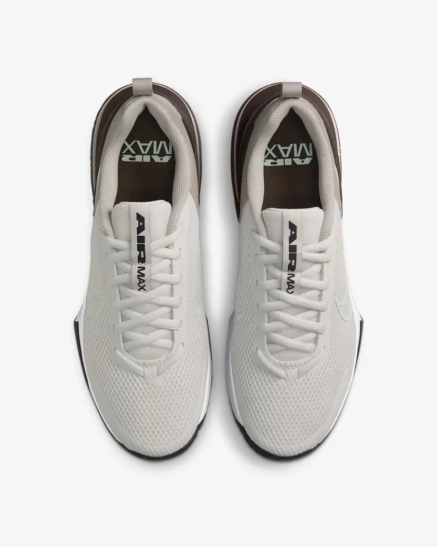 Кросівки Nike Air Max Alpha Trainer 6 FQ1833-008