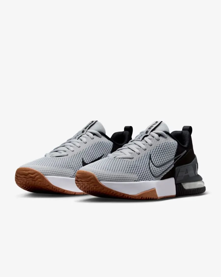 Кросівки Nike Air Max Alpha Trainer 6 FQ1833-009