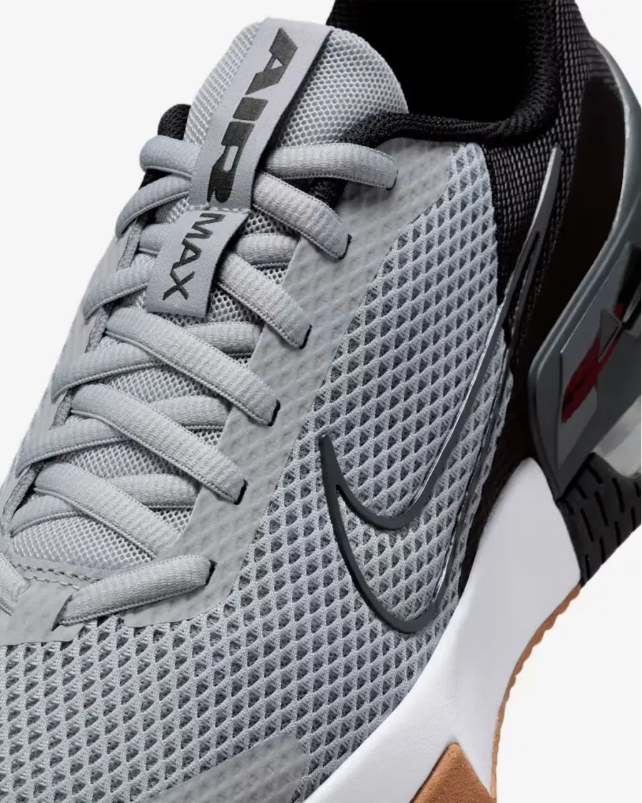 Кросівки Nike Air Max Alpha Trainer 6 FQ1833-009