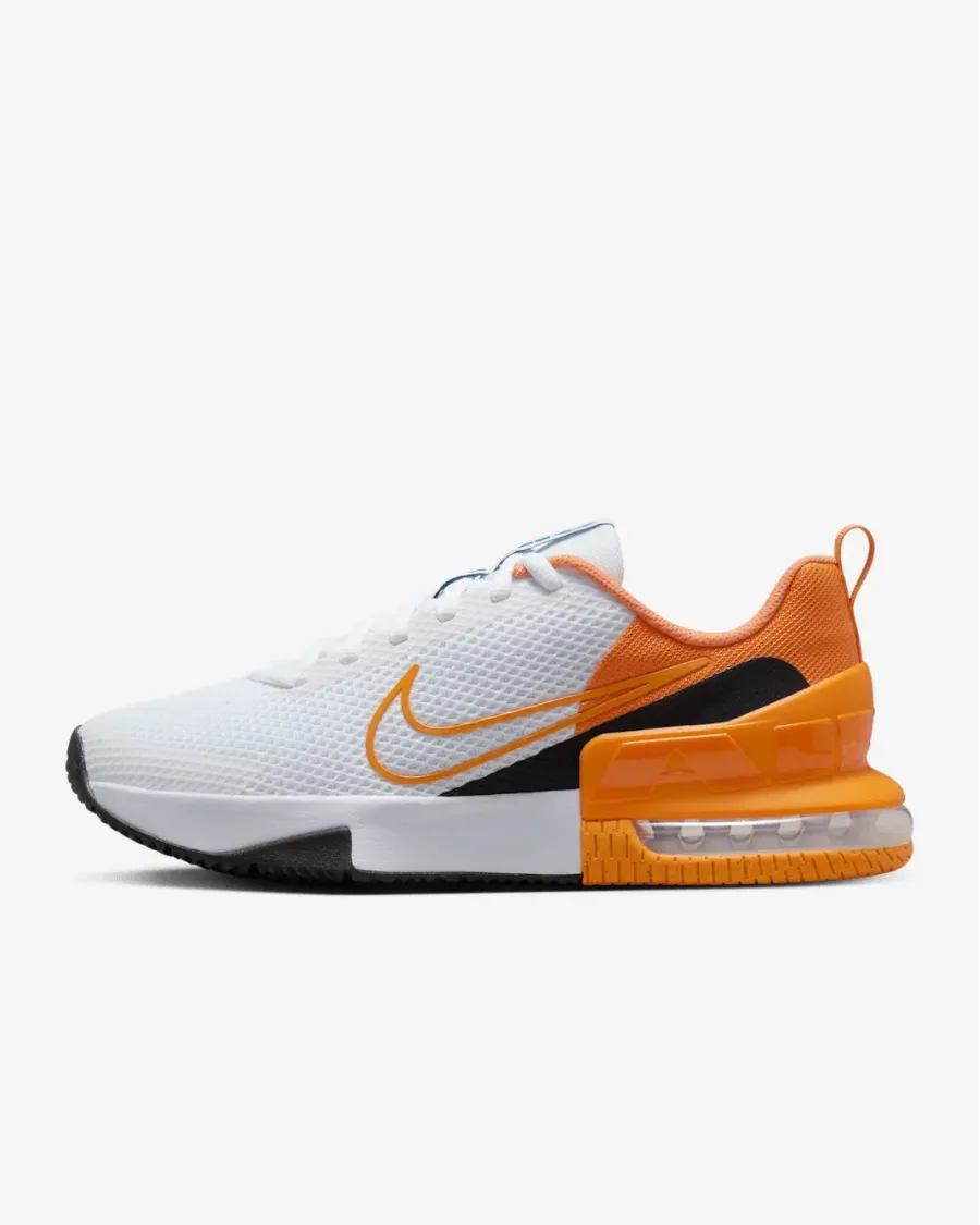 Кросівки Nike Air Max Alpha Trainer 6 FQ1833-101