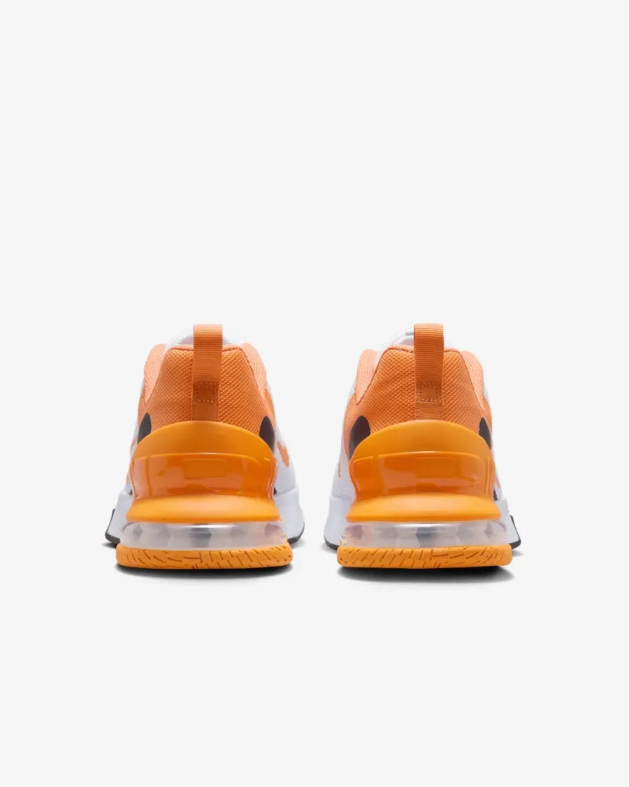 Кросівки Nike Air Max Alpha Trainer 6 FQ1833-101