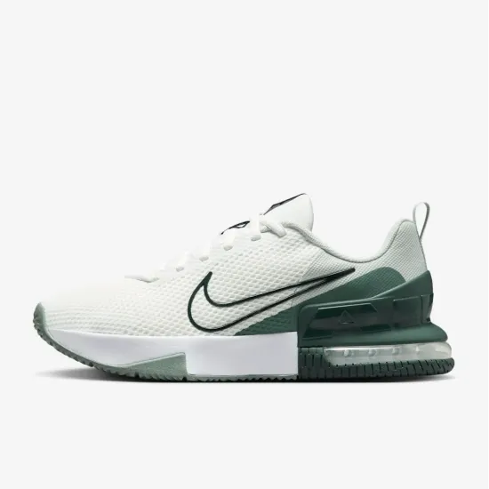 Кросівки Nike Air Max Alpha Trainer 6 FQ1833-108