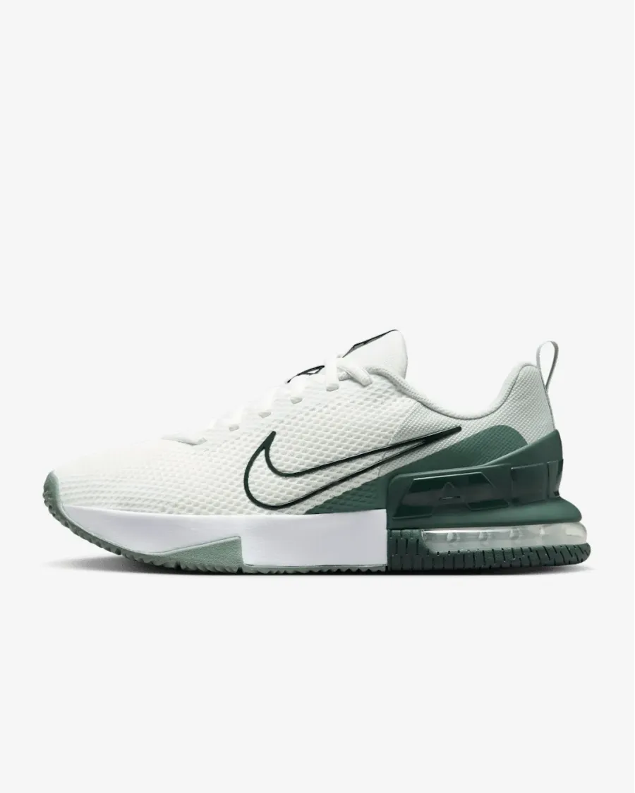 Кросівки Nike Air Max Alpha Trainer 6 FQ1833-108