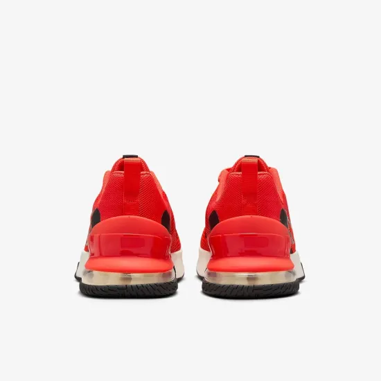 Кросівки Nike Air Max Alpha Trainer 6 FQ1833-800