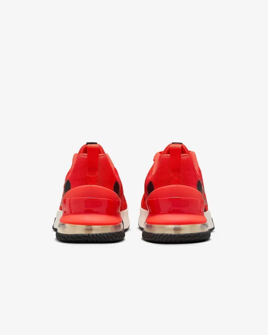 Кросівки Nike Air Max Alpha Trainer 6 FQ1833-800