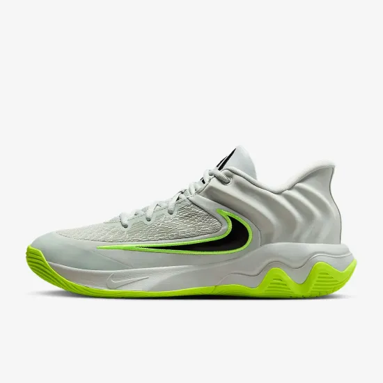 Кросівки Nike Giannis Immortality 4 FQ3680-007