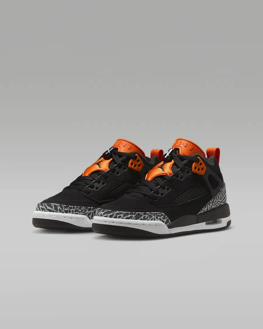 Кросівки Nike Air Jordan Spizike Low FQ3950-008