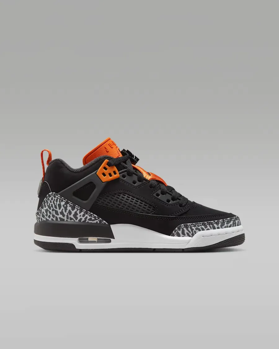 Кросівки Nike Air Jordan Spizike Low FQ3950-008