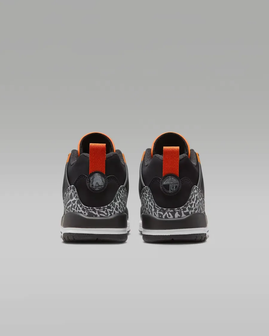 Кросівки Nike Air Jordan Spizike Low FQ3950-008