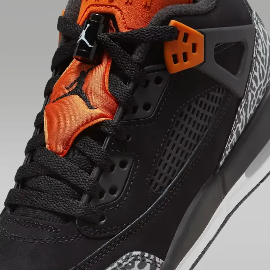 Кросівки Nike Air Jordan Spizike Low FQ3950-008