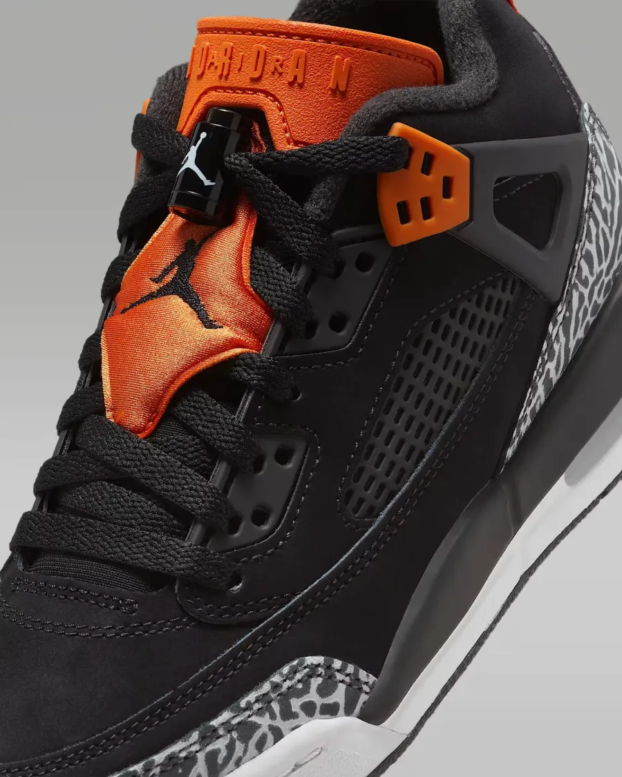 Кросівки Nike Air Jordan Spizike Low FQ3950-008