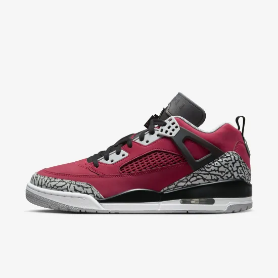 Кросівки Nike Air Jordan Spizike Low FQ3950-600