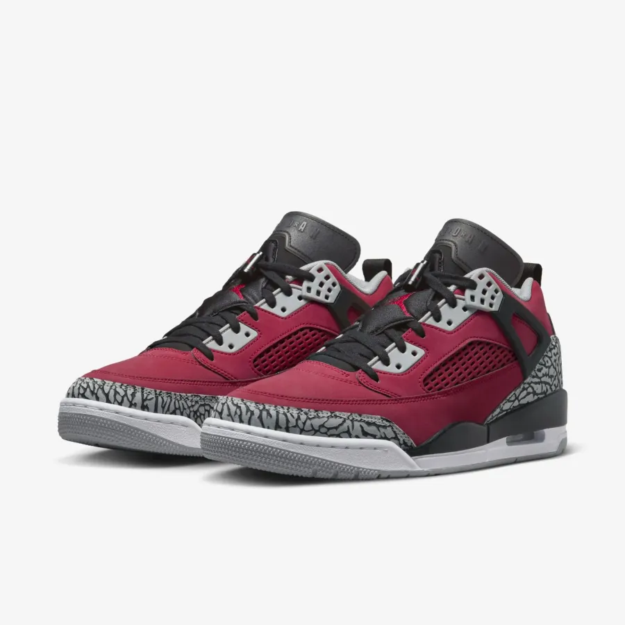 Кросівки Nike Air Jordan Spizike Low FQ3950-600