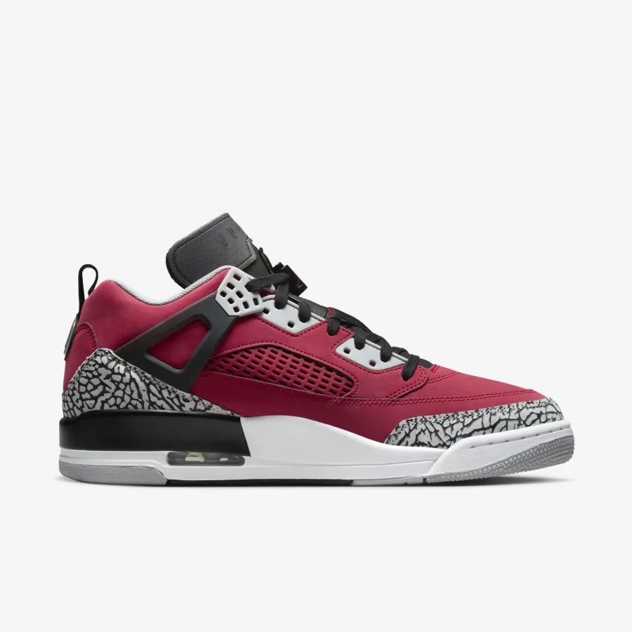 Кросівки Nike Air Jordan Spizike Low FQ3950-600