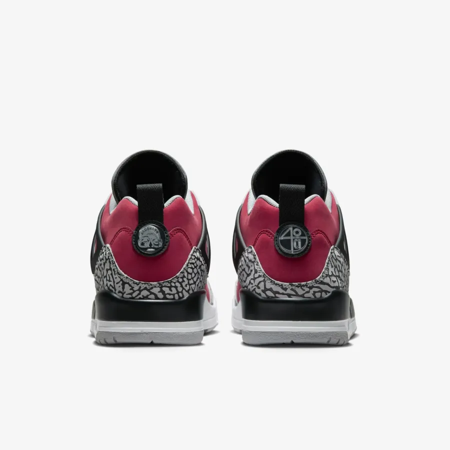 Кросівки Nike Air Jordan Spizike Low FQ3950-600