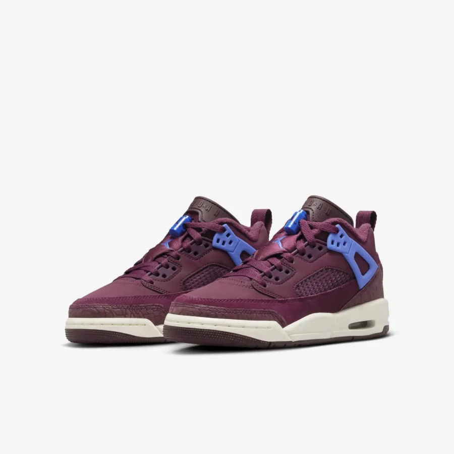 Кросівки Nike Air Jordan Spizike Low FQ3950-641