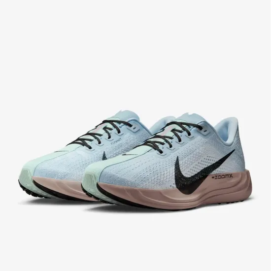 Кросівки Nike Pegasus Plus FQ7262-406