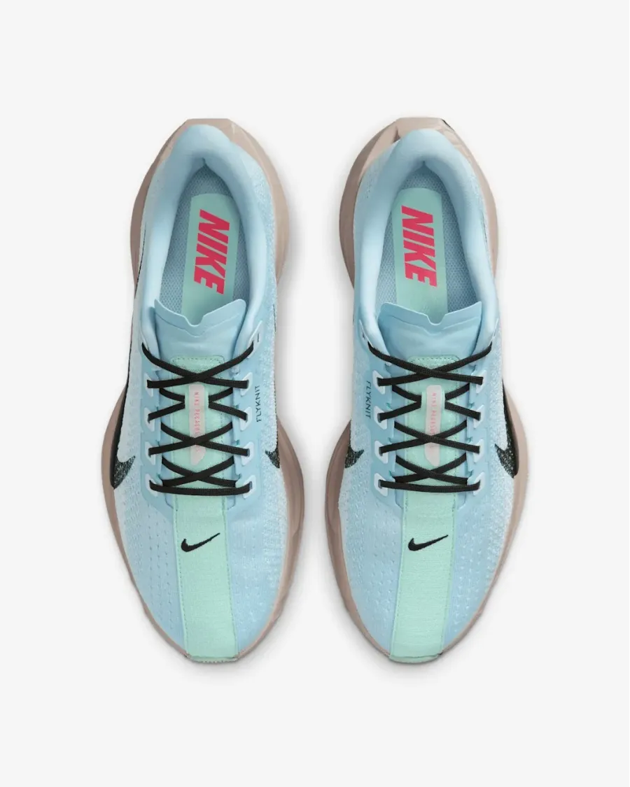 Кросівки Nike Pegasus Plus FQ7262-406