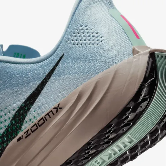 Кросівки Nike Pegasus Plus FQ7262-406