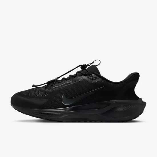 Кросівки Nike Pegasus EasyOn FQ7837-001