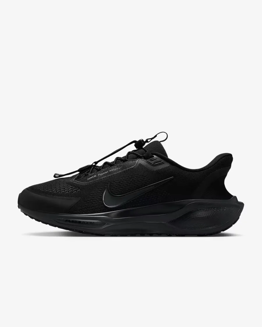 Кросівки Nike Pegasus EasyOn FQ7837-001