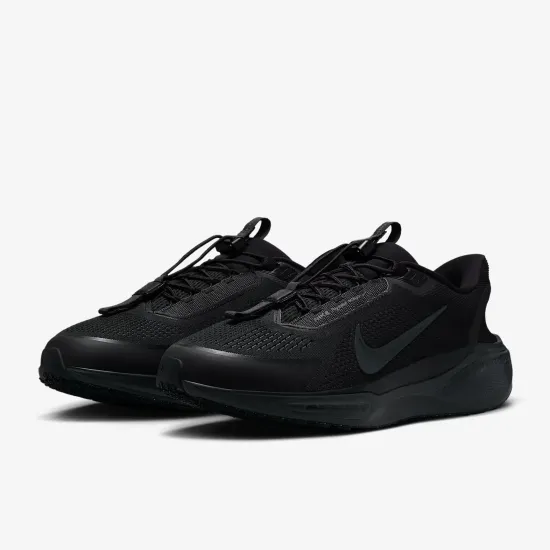 Кросівки Nike Pegasus EasyOn FQ7837-001