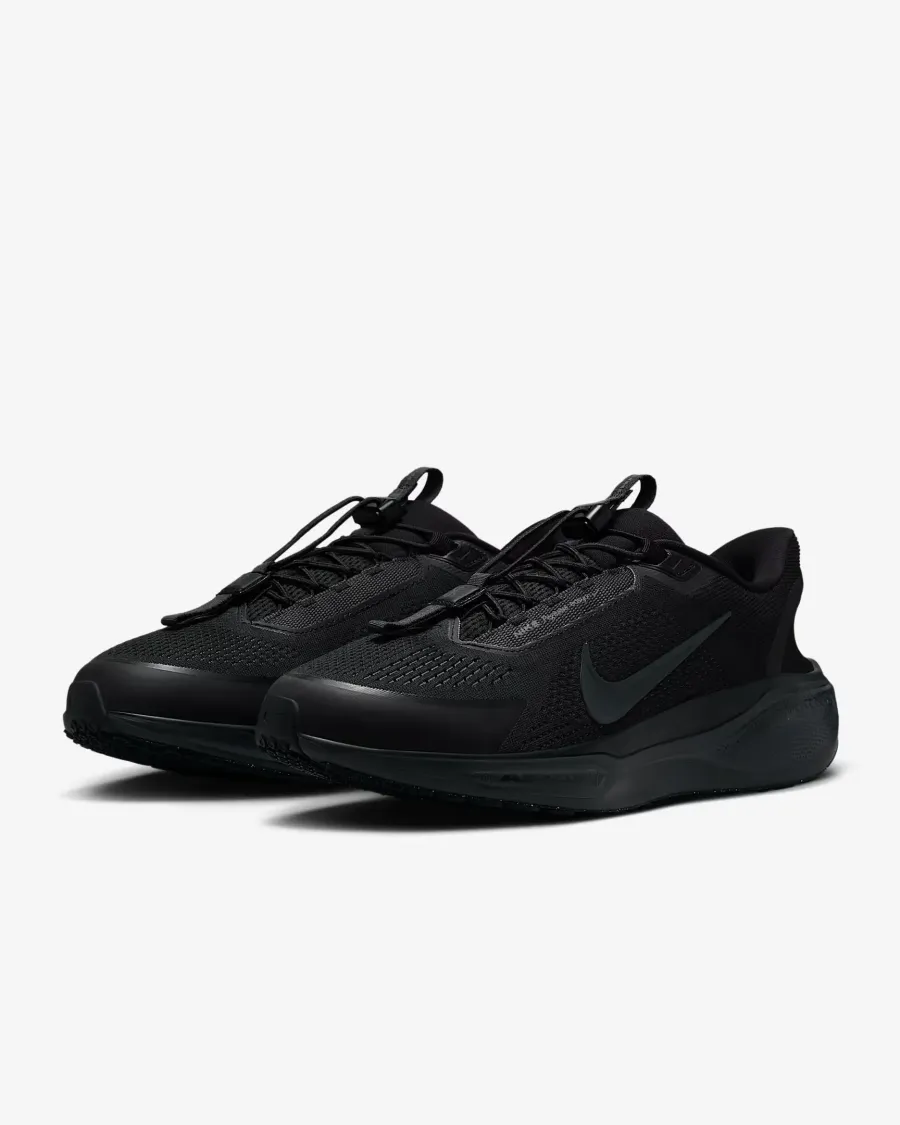 Кросівки Nike Pegasus EasyOn FQ7837-001