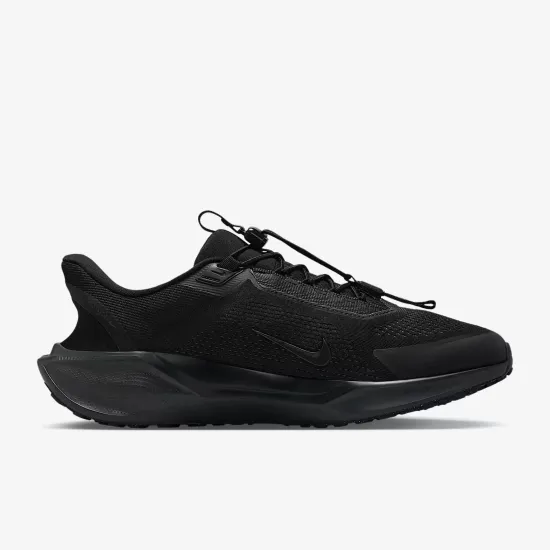 Кросівки Nike Pegasus EasyOn FQ7837-001