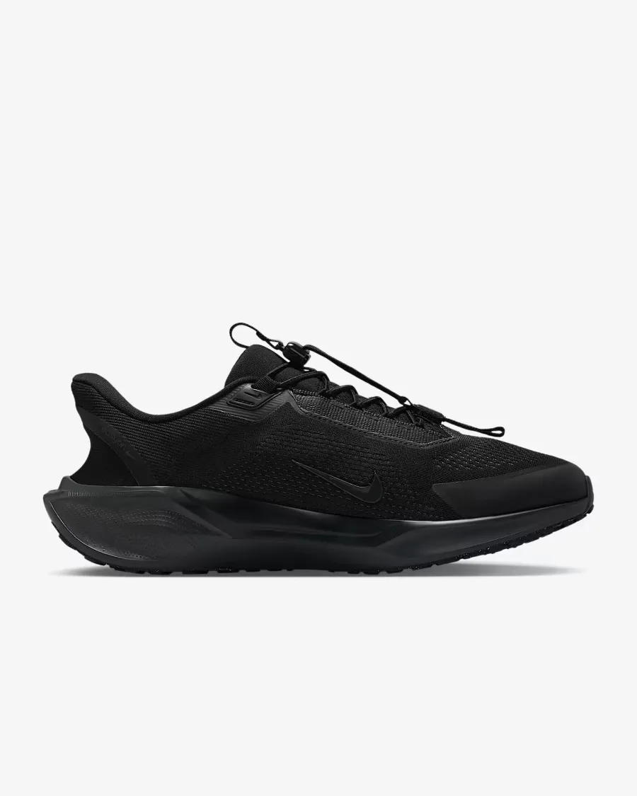 Кросівки Nike Pegasus EasyOn FQ7837-001