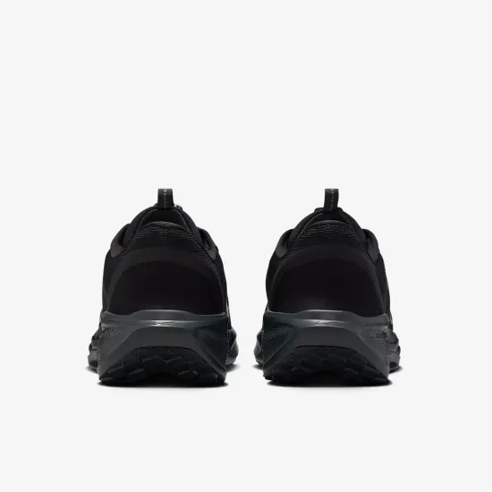 Кросівки Nike Pegasus EasyOn FQ7837-001