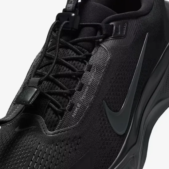 Кросівки Nike Pegasus EasyOn FQ7837-001