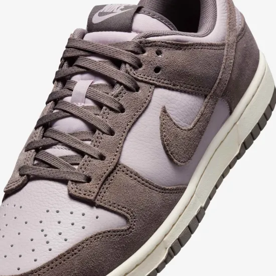 Кросівки Nike Dunk Low Retro SE FQ8249-001