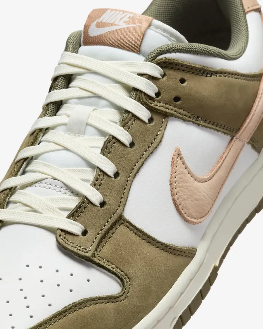 Кросівки Nike Dunk Low Retro Premium FQ8250-200