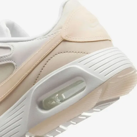 Кросівки Nike Air Max SC Trend FQ8722-100